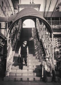Dividing Line